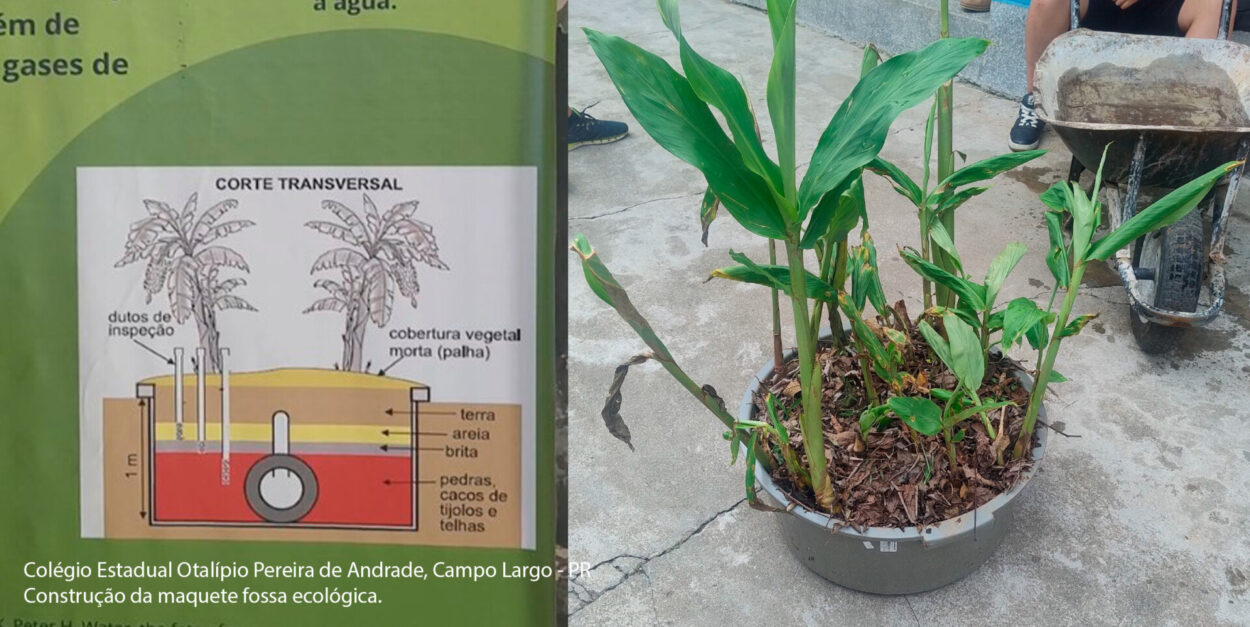 A galeria reúne momentos do clube do Colégio Estadual Otalípio Pereira de Andrade, em Campo Largo. As imagens registram os membros no laboratório da escola e ao ar livre em diferentes etapas, destacando a construção da maquete da fossa ecológica.