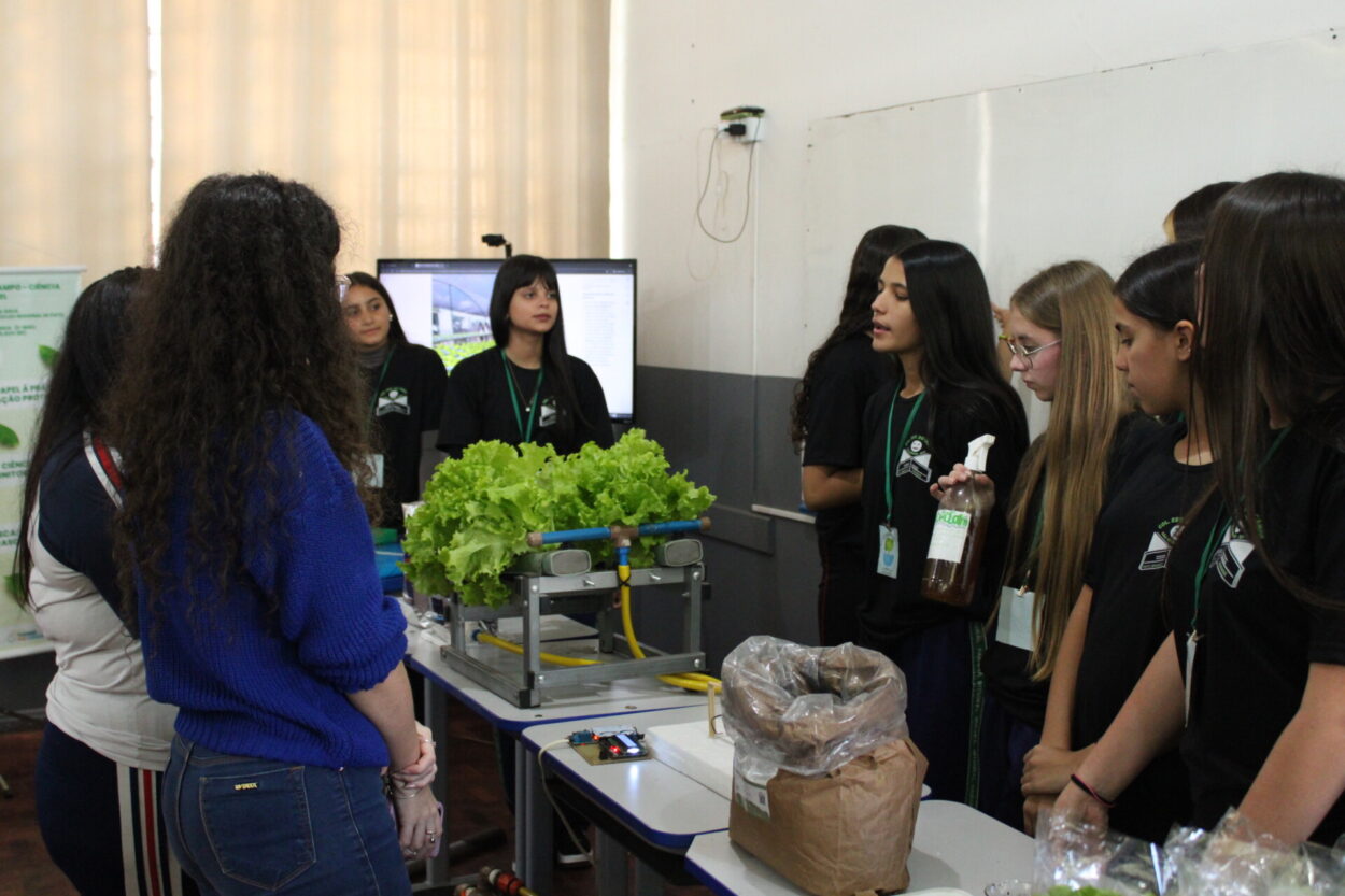 As fotos mostram os clubistas dos diferentes clubes em diferentes momentos de suas trajetórias, em especial, durante apresentações em feiras e mostras. Na primeira fotos, dois estudantes estão em seu estande na FECCI, apresentando o trabalho a duas pessoas de costas, cercados por banners e outros materiais expositivos. Na segunda, três clubistas também estão se apresentando, porém, não estão em um estande com paredes e sim atrás de uma mesa, também com muitos itens expositivos, durante o Paraná Faz Ciência em 2025. Na terceira foto, os clubistas estão posando para foto em uma sala de aula, à sua frente, uma grande mesa com saquinhos de chá, folders informativos e uma lavanda em um jarro d’água. Na quarta fotografia, várias alunas apresentam seu trabalho relacionado a hidroponia, a sua frente, um protótipo de horta hidropônica. Na quinta foto, os clubistas do ODS em Ação estão lado a lado, olham para a câmera e sorriem, o ambiente é de um laboratório de química. Na penúltima fotografia, duas estudantes e duas professoras estão ao lado de um quadro nego com os escritos “Clube Área XXIII”. Na última imagem fotográfica, as três representantes do HF Maker sorriem, elas estão em seu estande da FECCI, a sua frente, seus produtos cosméticos e atrás seu banner encontra-se pendurado.