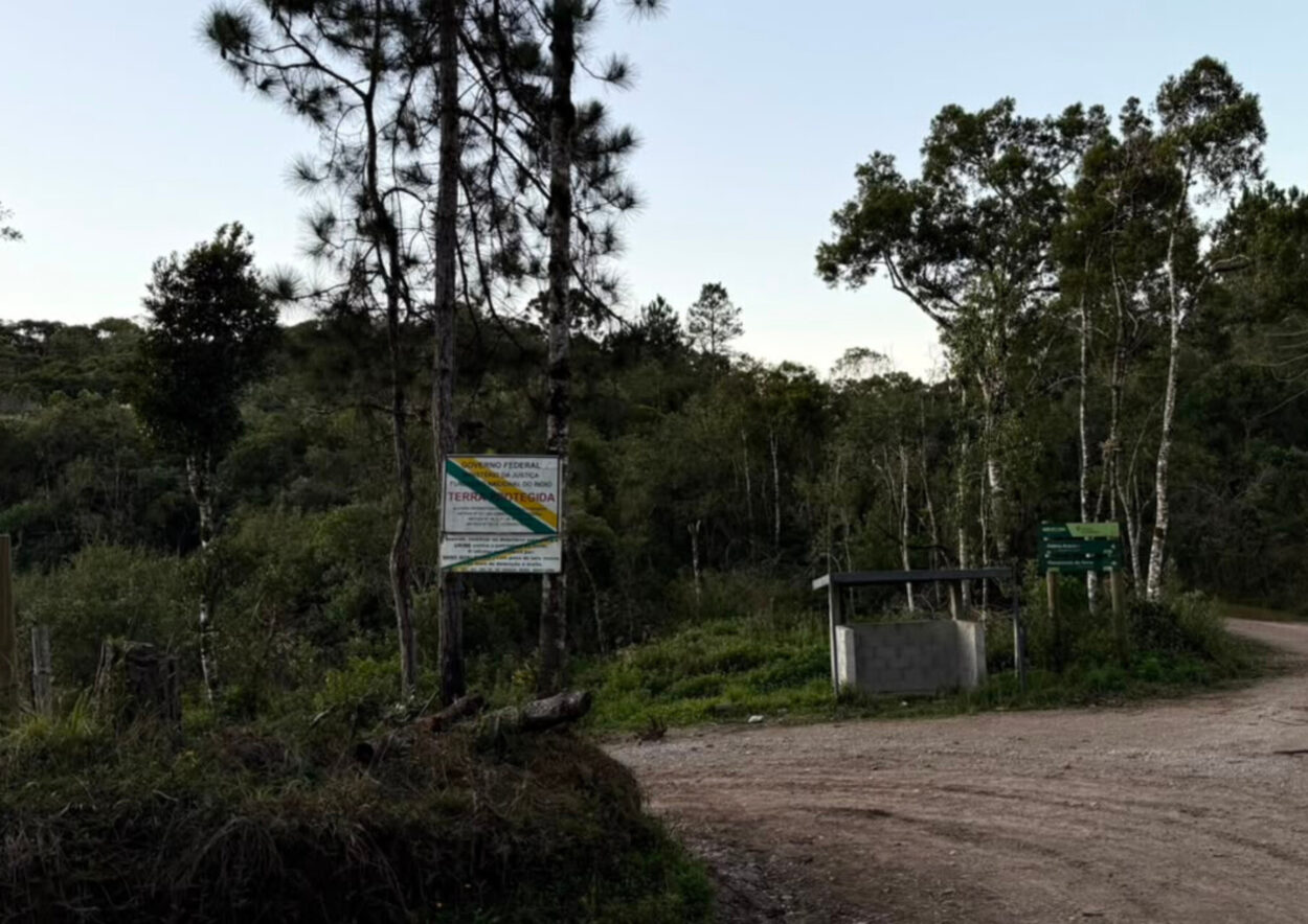 Imagem de uma área de mata. Em primeiro plano, há uma estrada de chão que se divide em uma entrada cercada por vegetação. À esquerda, duas árvores altas sustentam uma placa informativa de proteção territorial. À direita, próximo ao acesso da estrada, há uma pequena estrutura coberta e uma placa de sinalização verde. Ao fundo, uma extensa área de floresta com diferentes espécies de árvores, incluindo pinheiros e árvores de troncos claros. O céu está limpo e a iluminação suave sugere o início da manhã ou o final da tarde.