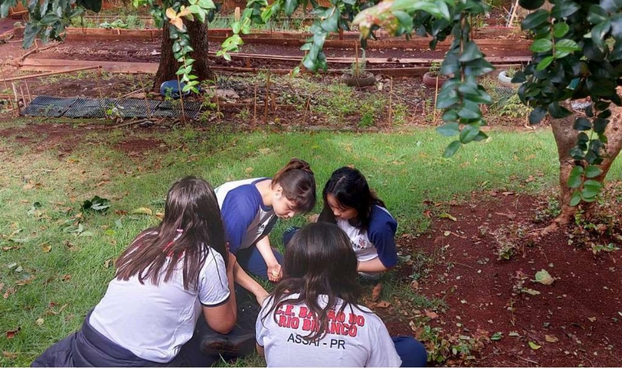Fotografia de quatro estudantes reunidas na horta de uma escola. As meninas estão agachadas sobre a grama, observando e manuseando o solo próximo às plantas. Ao fundo, há árvores, canteiros e áreas verdes. A atividade faz parte de um projeto de sustentabilidade, no qual as estudantes utilizam adubo orgânico produzido por elas mesmas para auxiliar no cultivo da horta escolar. A cena transmite colaboração, aprendizado prático e cuidado com o meio ambiente.