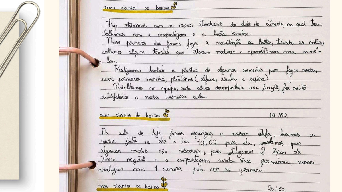 Foto em plano detalhe de uma página de caderno pautado de um fichário com espirais rosa à esquerda. A página contém anotações manuscritas com uma caligrafia caprichada em caneta preta. O texto é dividido em relatos de dias diferentes, todos iniciados pelo título "meu diário de bordo" sublinhado com marca-texto amarelo e decorado com o desenho de um raminho de folhas. No primeiro texto, a estudante relata atividades do clube de ciências, como a colheita de tomates maduros. Nos registros seguintes, há datas no canto direito superior (19/02 e 26/02) acompanhadas de relatos sobre a organização da estufa e observações sobre a germinação das plantas. No extremo esquerdo da imagem, aparece o detalhe de um clipe de papel prendendo folhas de rascunho de fundo bege