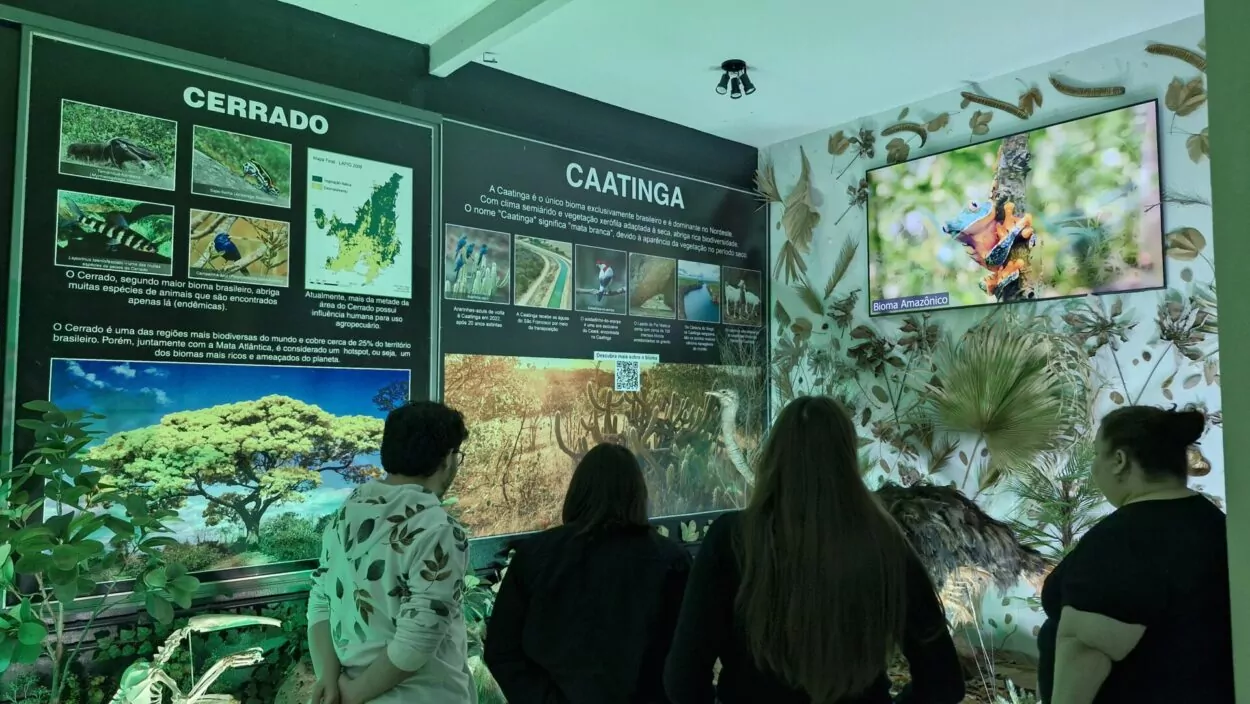 A imagem mostra alguns dos integrantes da equipe do NAPI da Universidade Estadual de Londrina (UEL) ao Museu Dinâmico Interdisciplinar (MUDI) da Universidade Estadual de Maringá (UEM). Quatro pessoas estão de costas, observando um painel expositivo sobre biomas brasileiros. Elas parecem estar atentas às informações e imagens apresentadas. No canto superior direito da imagem, uma televisão exibe um vídeo com uma imagem vibrante de um sapo colorido em um galho. O ambiente está decorado com elementos naturais nas paredes, como folhas secas, galhos e penas. O espaço é iluminado com luz esverdeada.