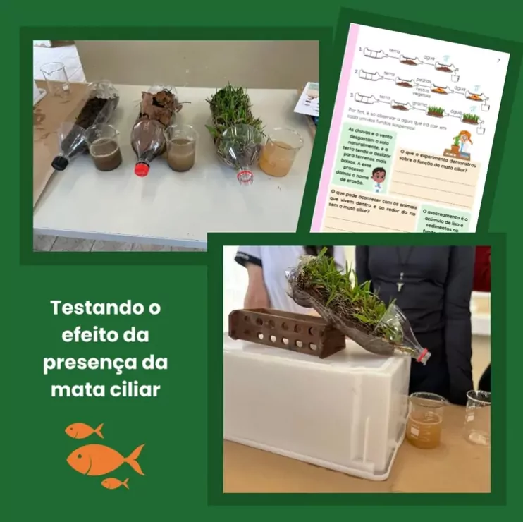 A galeria mostra estudantes em ambiente escolar, reunidos em mesas de estudo e bancadas de laboratório. As imagens também destacam materiais didáticos utilizados nas atividades, com experimentos envolvendo água, terra, plantas e recipientes diversos.