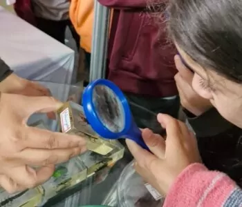 Feira de Cultura Científica inscreve projetos até sexta-feira, dia 29