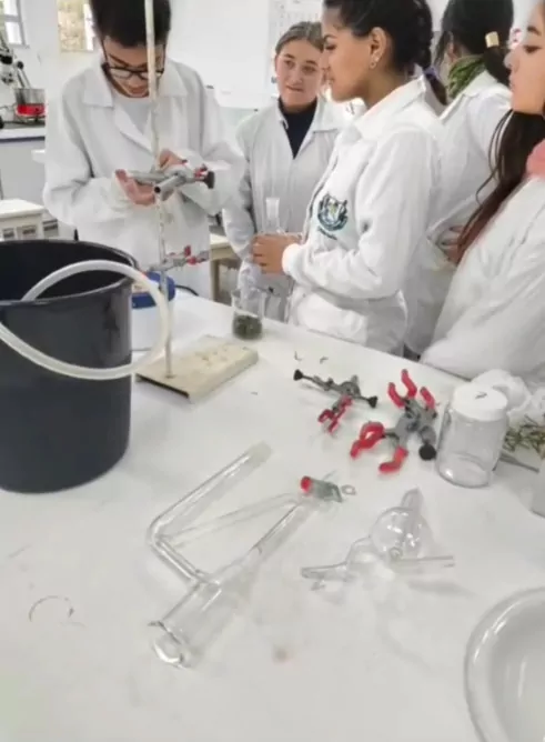 Foto dos estudantes com jalecos brancos observando uma bancada de laboratório com equipamento de extração de óleos essenciais montado. Um frasco com folhas está sendo aquecido em manta térmica; há tubos de vidro conectados e mangueiras conduzindo o vapor até um condensador. Ao fundo, mais alunos acompanham a atividade.