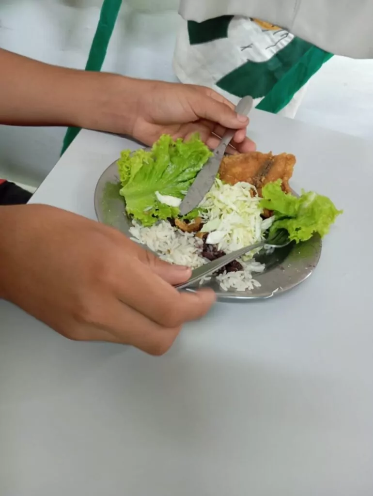 Na foto, um prato de comida bem equilibrado, com arroz, feijão, proteína, e salada. a cor do utensílio é prateada e está sendo segurada por duas mãos.