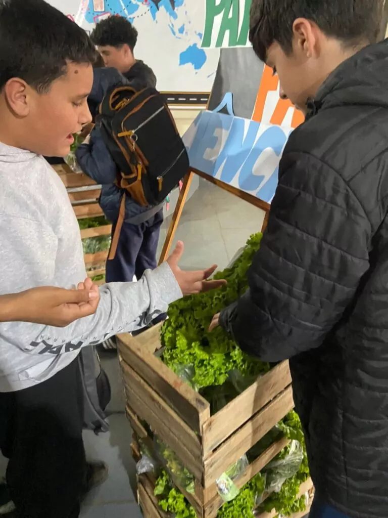 A galeria mostra fotos dos clubistas entregando as alfaces que eles cultivaram aos pais e alunos da escola. Há ambientes internos e externos e as alfaces estão envolvidas em sacolas plásticas para a praticidade no transporte. Alguns adultos são pais dos alunos e seguram pacotes contendo uniformes escolares.