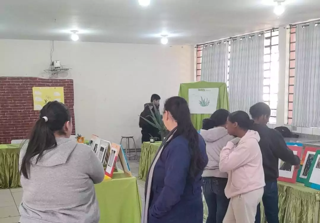 A imagem é uma galeria composta por seis fotografias, que retratam atividades desenvolvidas por diferentes grupos escolares ligados a Clubes de Ciências. A primeira foto tem um grupo de alunos sorrindo. O grupo está sentado em um ambiente interno decorado com plantas em prateleiras e cartazes. A segunda imagem mostra uma sala de informática com vários estudantes sentados em frente a computadores de mesa. Eles estão organizados em duas fileiras, cada uma voltada para o centro da sala, com monitores, teclados e fones de ouvido disponíveis. A maioria dos alunos parecem estar concentrados nas telas, digitando ou usando os fones. A sala tem iluminação fluorescente, paredes claras e alguns avisos afixados. Ao fundo, há ventiladores de parede e janelas com blocos de vidro para ventilação. O ambiente transmite uma atmosfera de estudo. A terceira fotografia tem alunos e visitantes interagindo em uma bancada comprida, realizando atividades práticas e experimentos. Há papéis com explicações e materiais sobre a mesa, indicando uma exposição interativa. A quarta foto mostra várias pessoas observando atentamente uma exposição de trabalhos em um espaço decorado com tecido verde. Na quinta foto tem um grupo de alunos apresentando um projeto do Clube de Ciências em uma sala decorada com folhas verdes penduradas. Na frente da mesa, há cartazes escritos e materiais como garrafas PET e experimentos. Na última foto há um grupo de estudantes, alguns vestidos com roupas típicas de festa junina, participando de uma atividade que envolve códigos QR. Uma das alunas segura um cartaz com o título “Quiz da ciência”, sugerindo uma abordagem lúdica para aprender conteúdos científicos.