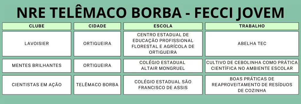 A imagem mostra uma lista com o nome dos clubes, cidade, escola e trabalhos aprovados no evento.