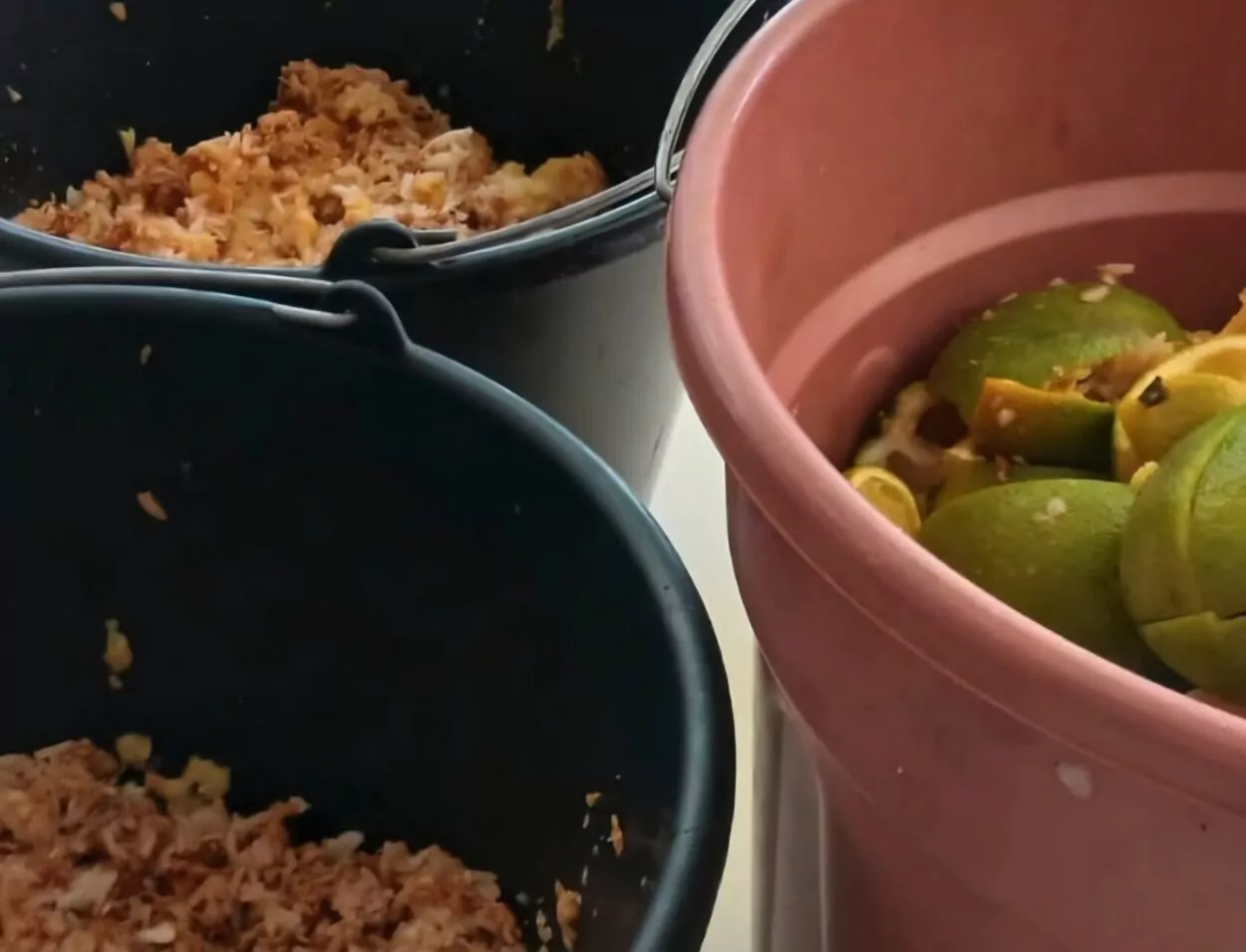 Esta imagem mostra um close de recipientes usados para restos orgânicos. À direita, há um balde rosado com cascas de frutas, especialmente limões cortados. À esquerda, aparecem baldes pretos contendo restos de alimentos, como arroz ou outros resíduos orgânicos. A imagem sugere um processo de reaproveitamento ou separação de resíduos.