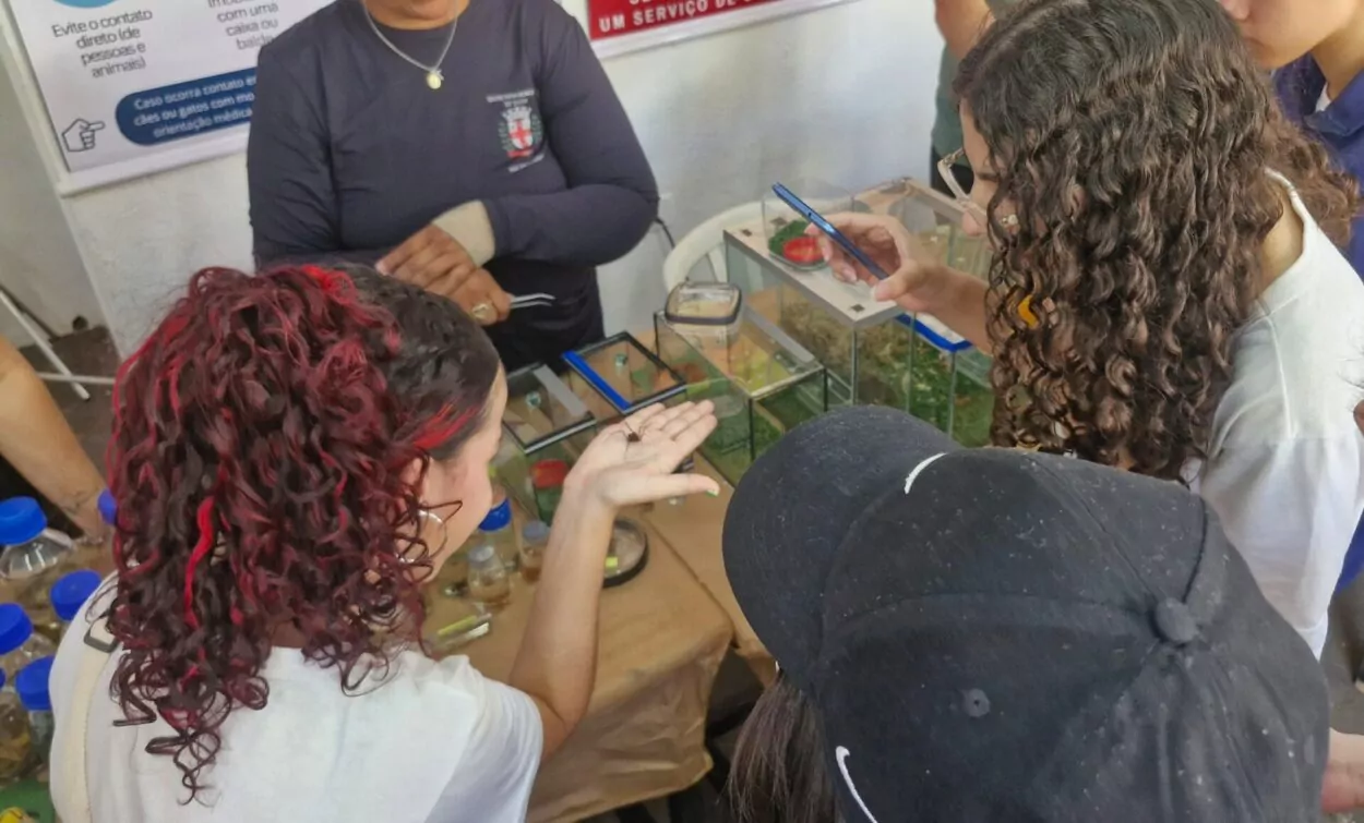 Esta imagem mostra um grupo de estudantes reunido em volta de uma mesa com pequenos terrários e recipientes transparentes contendo insetos e outros pequenos animais. Uma aluna segura um inseto na palma da mão enquanto os colegas observam com curiosidade; uma outra estudante usa o celular para fotografar o momento. Há também um adulto (provavelmente monitor ou orientador) auxiliando na atividade. O ambiente parece educativo, com cartazes ao fundo.